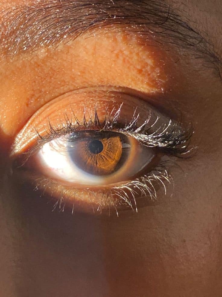Lash and Brow Serum